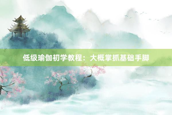 低级瑜伽初学教程：大概掌抓基础手脚